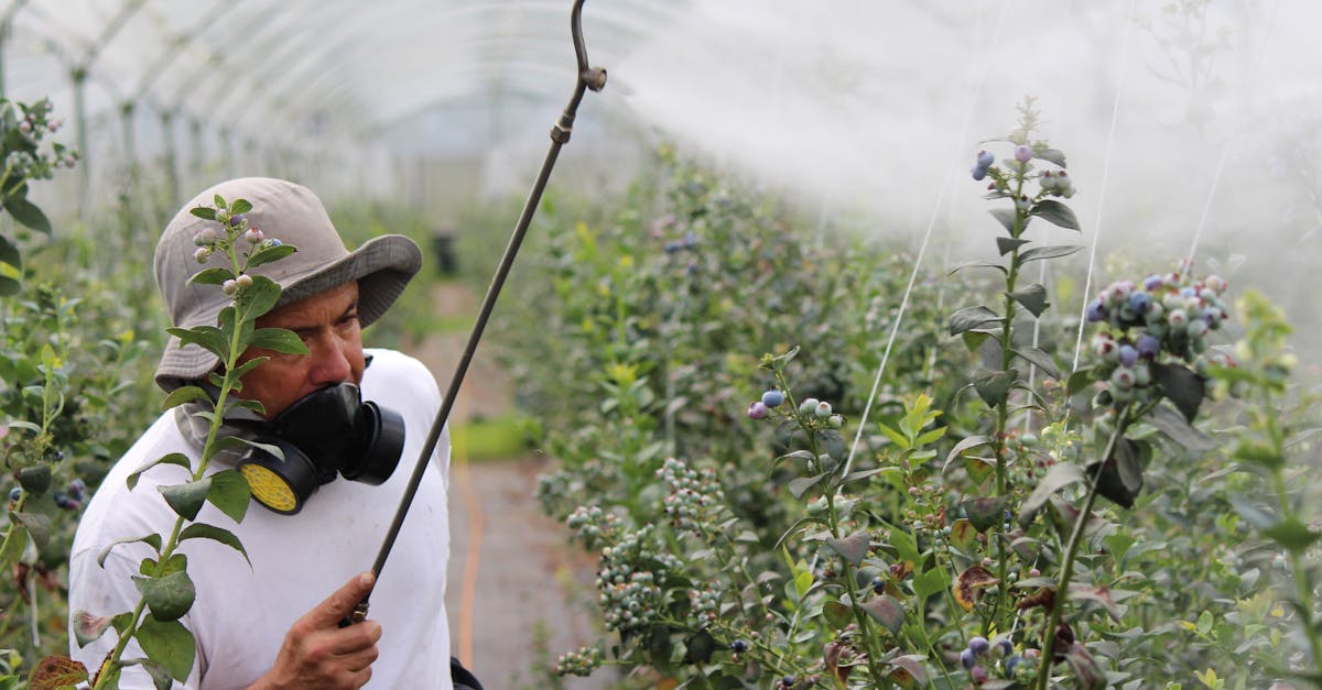 découvrez tout ce que vous devez savoir sur les pesticides : leur utilisation, leurs effets sur l'environnement et la santé, ainsi que les alternatives écologiques.