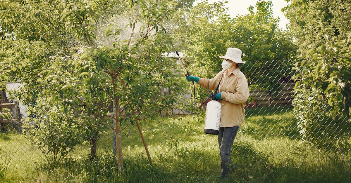 découvrez l'impact des pesticides sur l'environnement et la santé, ainsi que des solutions alternatives pour une agriculture plus durable.