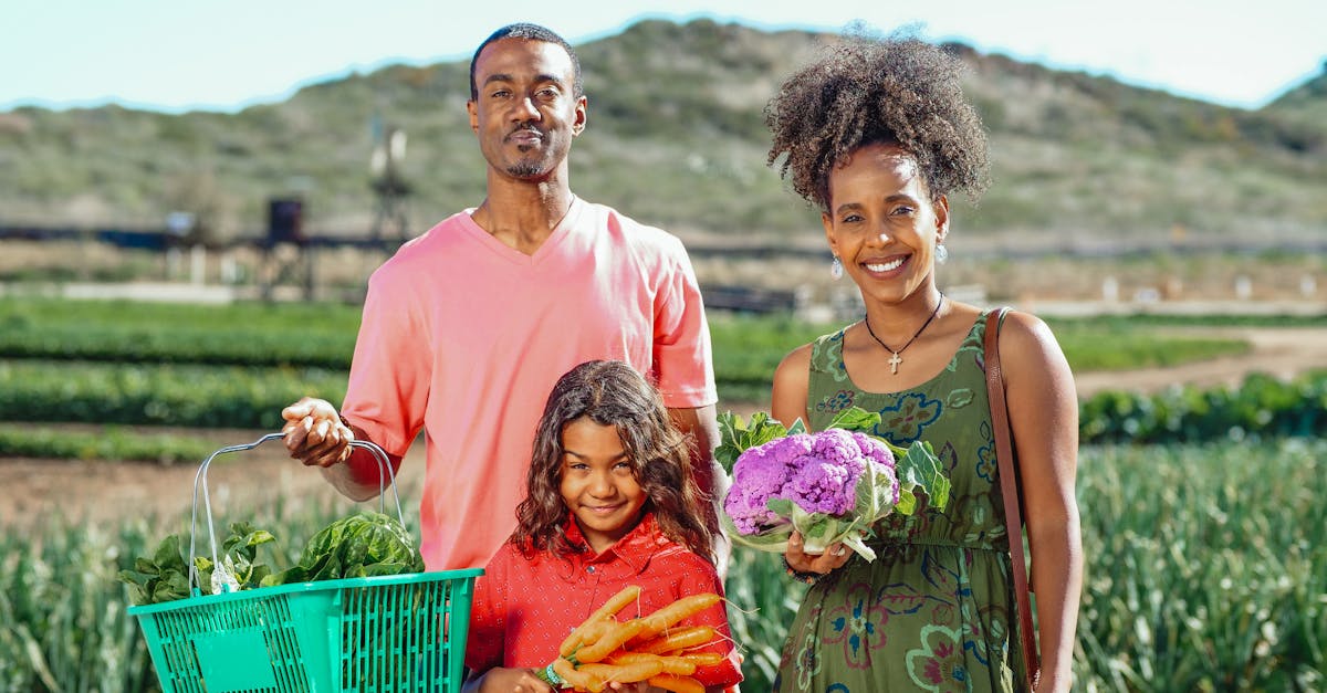 découvrez l'assurance santé agricole, une solution essentielle pour protéger votre exploitation et vos récoltes. garanti un soutien financier face aux aléas climatiques et sanitaires, cette couverture est indispensable pour assurer la pérennité de votre activité agricole.