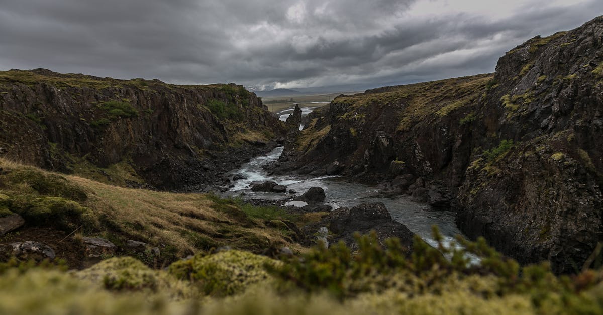 découvrez la beauté sauvage de l'islande, une terre de volcans majestueux, de glaciers étincelants et de paysages époustouflants. partez à l'aventure à travers des geysers, des chutes d'eau impressionnantes et des bains thermaux relaxants, tout en explorant la culture unique et l'hospitalité des islandais.