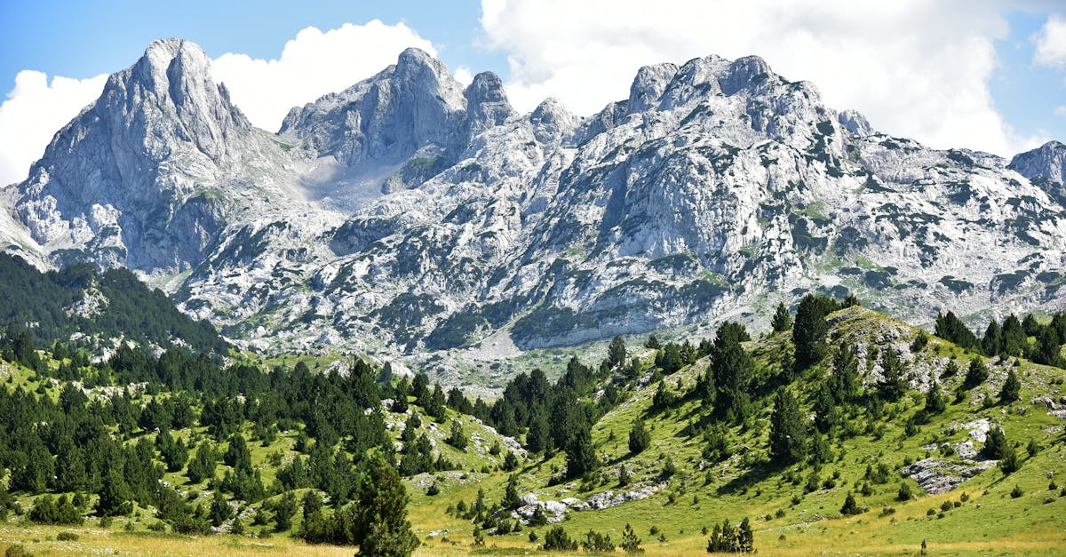 découvrez la bosnie-herzégovine, un joyau des balkans regorgeant de paysages à couper le souffle, d'une histoire riche et d'une culture vibrante. explorez ses villes pittoresques, dégustez sa cuisine authentique et laissez-vous charmer par l'hospitalité de ses habitants.