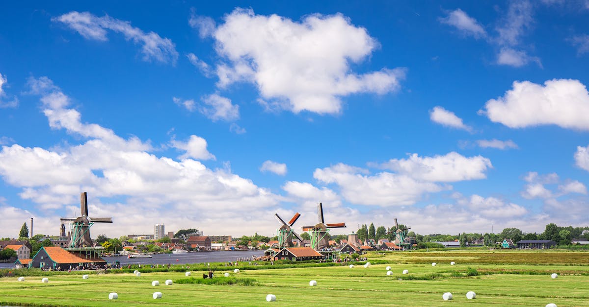 découvrez les pays-bas, un pays riche en culture, en paysages pittoresques et en innovations durables. explorez les célèbres canaux d'amsterdam, les tulipes colorées et les charmants villages typiques. plongez dans l'histoire et la gastronomie néerlandaises, tout en profitant de l'hospitalité chaleureuse de ses habitants.